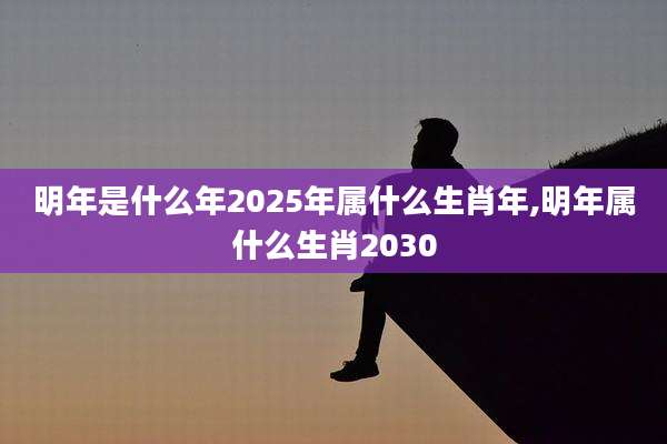 明年是什么年2025年属什么生肖年,明年属什么生肖2030