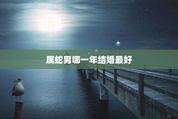 属蛇男哪一年结婚最好