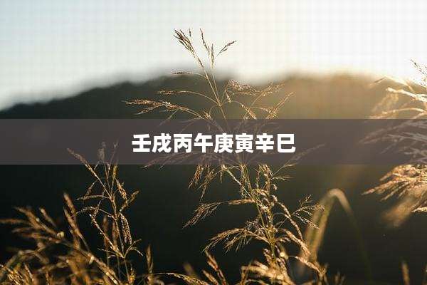 壬戌丙午庚寅辛巳