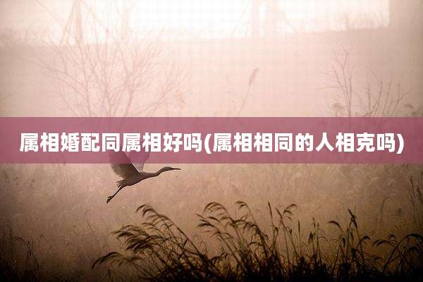 属相婚配同属相好吗(属相相同的人相克吗)