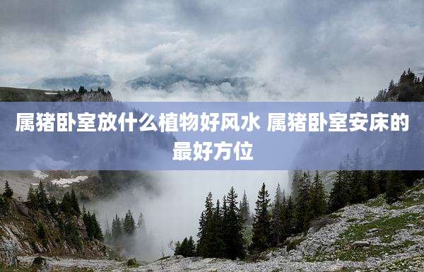 属猪卧室放什么植物好风水 属猪卧室安床的最好方位
