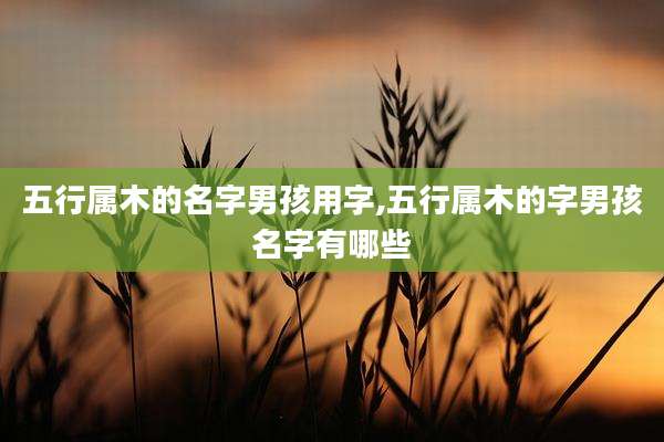 五行属木的名字男孩用字,五行属木的字男孩名字有哪些