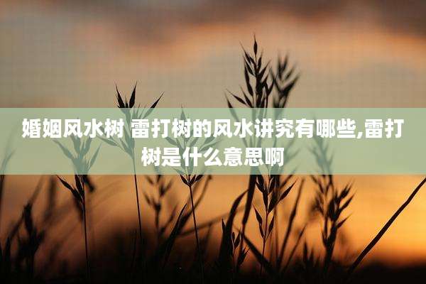 婚姻风水树 雷打树的风水讲究有哪些,雷打树是什么意思啊