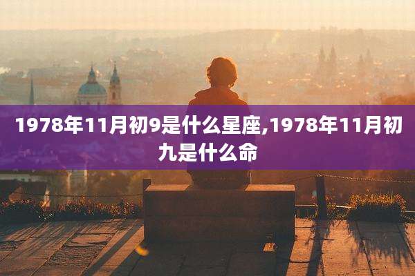 1978年11月初9是什么星座,1978年11月初九是什么命