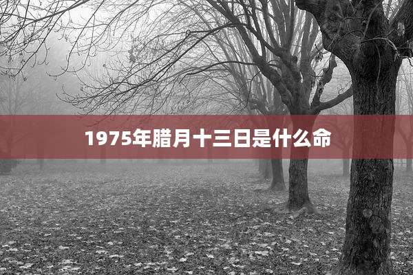 1975年腊月十三日是什么命