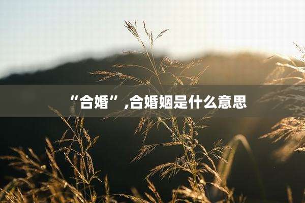 “合婚”,合婚姻是什么意思