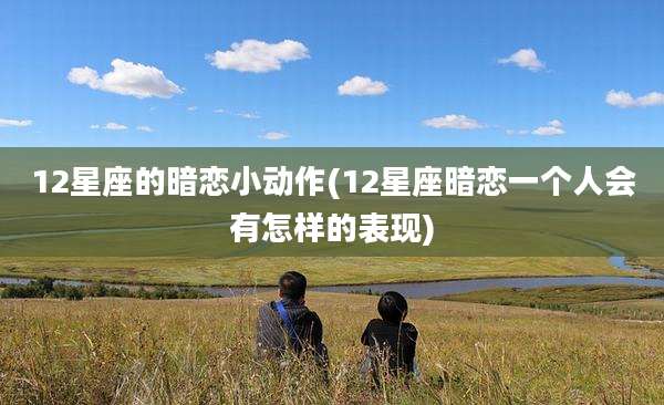 12星座的暗恋小动作(12星座暗恋一个人会有怎样的表现)