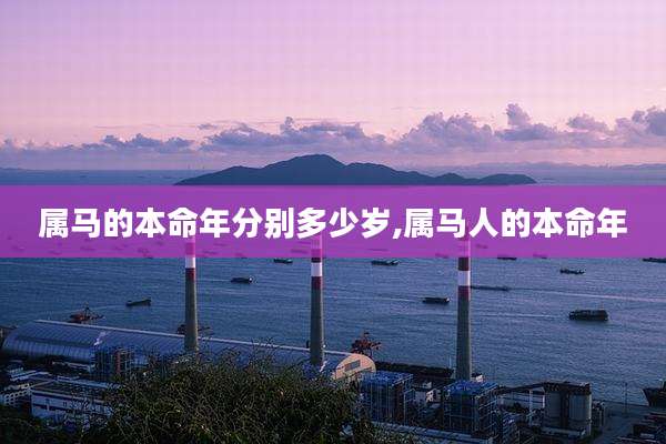 属马的本命年分别多少岁,属马人的本命年