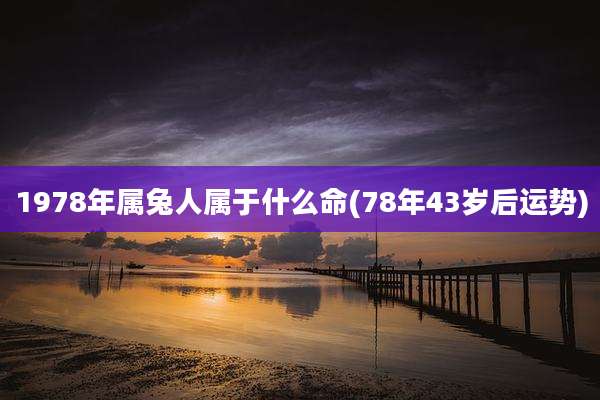 1978年属兔人属于什么命(78年43岁后运势)