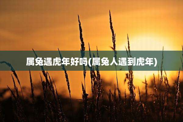 属兔遇虎年好吗(属兔人遇到虎年)