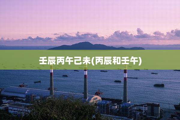 壬辰丙午己未(丙辰和壬午)