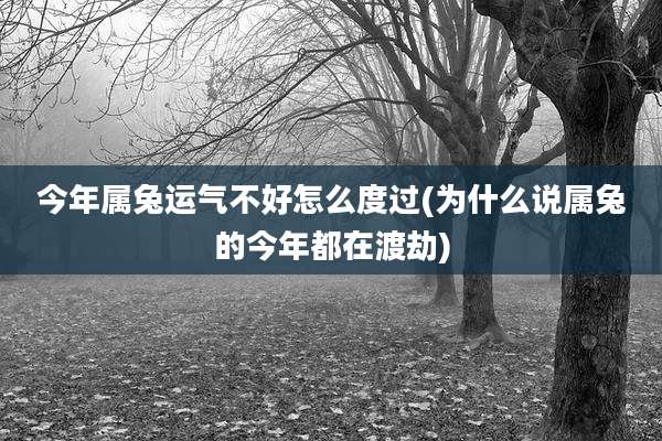 今年属兔运气不好怎么度过(为什么说属兔的今年都在渡劫)