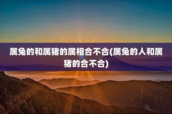 属兔的和属猪的属相合不合(属兔的人和属猪的合不合)