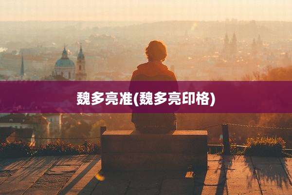 魏多亮准(魏多亮印格)