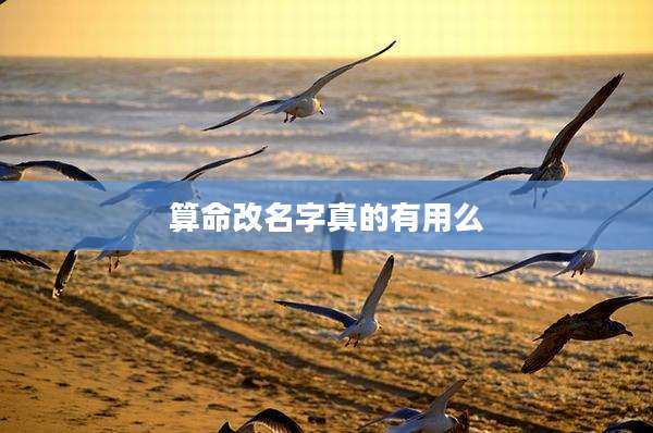 算命改名字真的有用么