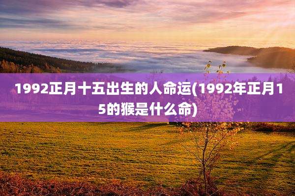 1992正月十五出生的人命运(1992年正月15的猴是什么命)