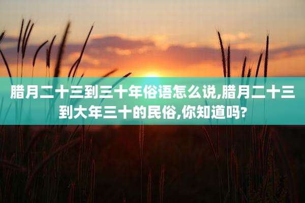 腊月二十三到三十年俗语怎么说,腊月二十三到大年三十的民俗,你知道吗?