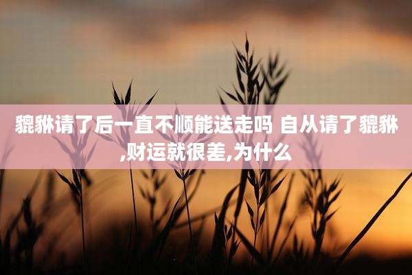 貔貅请了后一直不顺能送走吗 自从请了貔貅,财运就很差,为什么