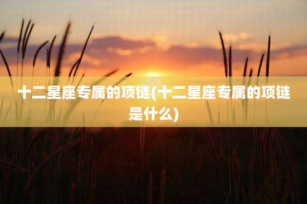 十二星座专属的项链(十二星座专属的项链是什么)