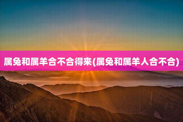 属兔和属羊合不合得来(属兔和属羊人合不合)