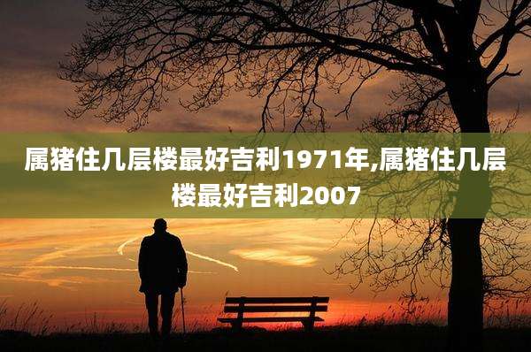 属猪住几层楼最好吉利1971年,属猪住几层楼最好吉利2007