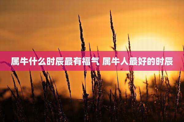 属牛什么时辰最有福气 属牛人最好的时辰