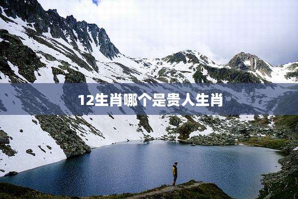 12生肖哪个是贵人生肖