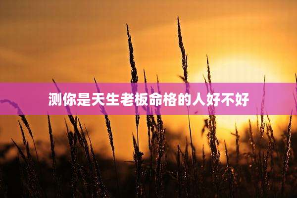 测你是天生老板命格的人好不好