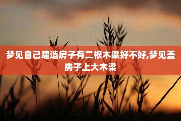 梦见自己建造房子有二根木梁好不好,梦见盖房子上大木梁