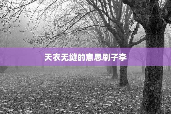 天衣无缝的意思刷子李