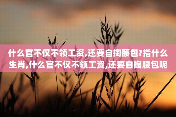 什么官不仅不领工资,还要自掏腰包?指什么生肖,什么官不仅不领工资,还要自掏腰包呢