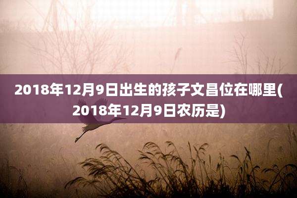 2018年12月9日出生的孩子文昌位在哪里(2018年12月9日农历是)