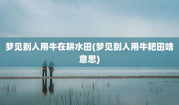 梦见别人用牛在耕水田(梦见别人用牛耙田啥意思)