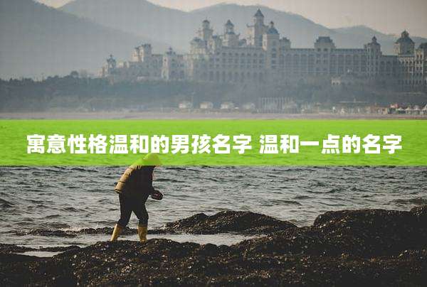 寓意性格温和的男孩名字 温和一点的名字