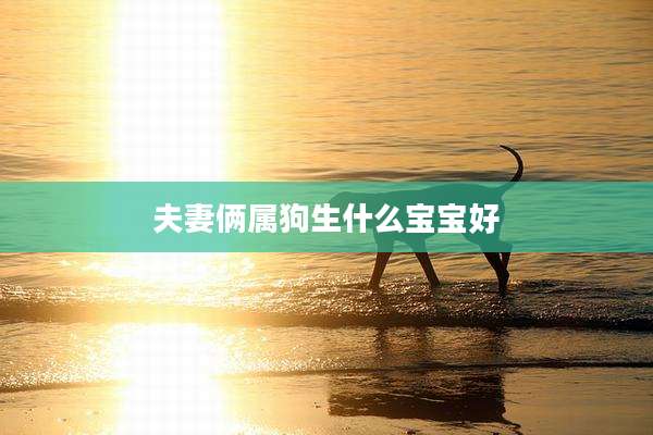 夫妻俩属狗生什么宝宝好