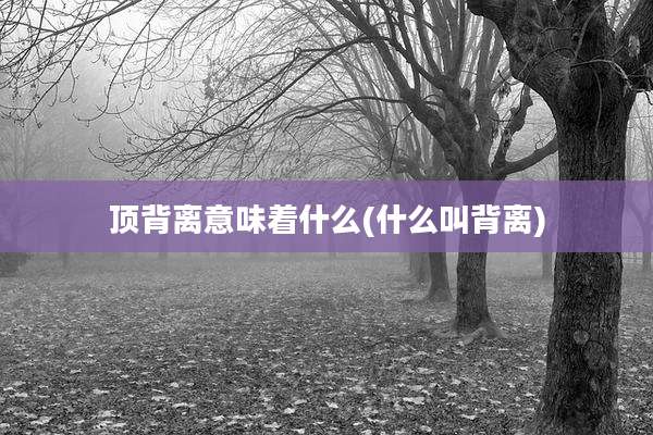 顶背离意味着什么(什么叫背离)