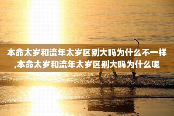 本命太岁和流年太岁区别大吗为什么不一样,本命太岁和流年太岁区别大吗为什么呢