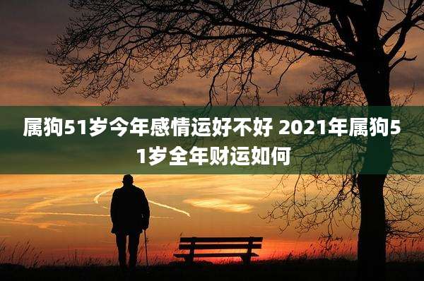 属狗51岁今年感情运好不好 2021年属狗51岁全年财运如何