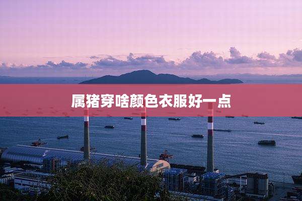 属猪穿啥颜色衣服好一点