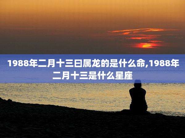 1988年二月十三曰属龙的是什么命,1988年二月十三是什么星座