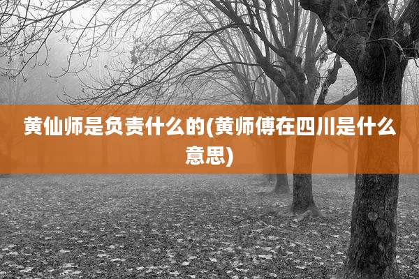 黄仙师是负责什么的(黄师傅在四川是什么意思)