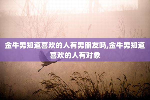金牛男知道喜欢的人有男朋友吗,金牛男知道喜欢的人有对象