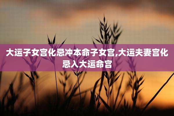 大运子女宫化忌冲本命子女宫,大运夫妻宫化忌入大运命宫