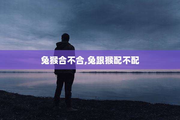 兔猴合不合,兔跟猴配不配