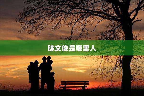 陈文俊是哪里人