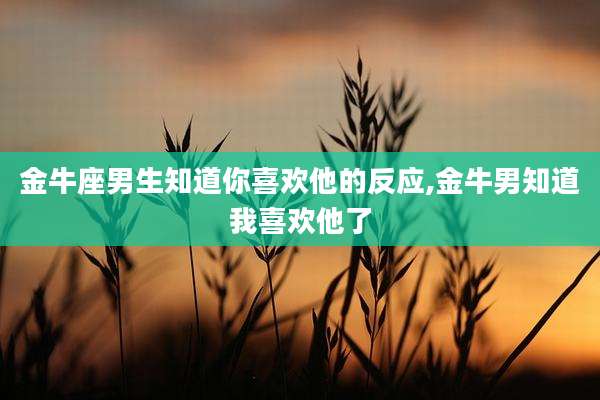 金牛座男生知道你喜欢他的反应,金牛男知道我喜欢他了