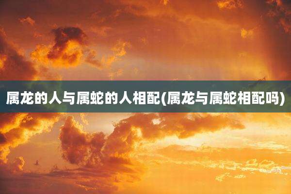 属龙的人与属蛇的人相配(属龙与属蛇相配吗)