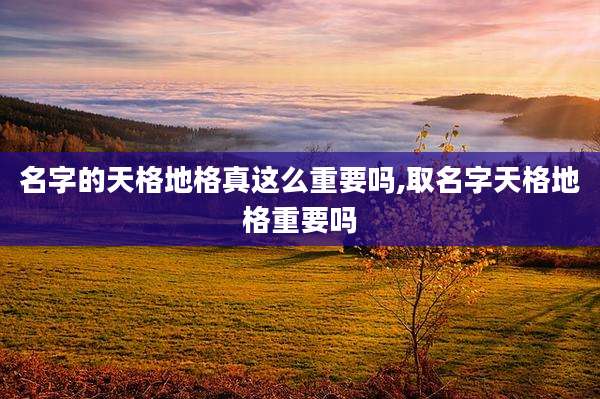名字的天格地格真这么重要吗,取名字天格地格重要吗