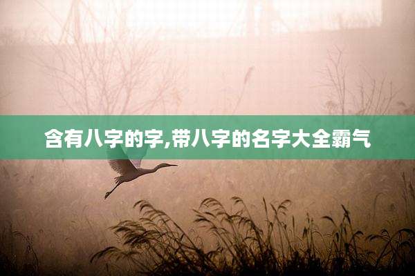 含有八字的字,带八字的名字大全霸气