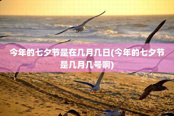 今年的七夕节是在几月几日(今年的七夕节是几月几号啊)